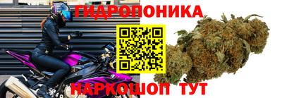 прущая мука Рязань
