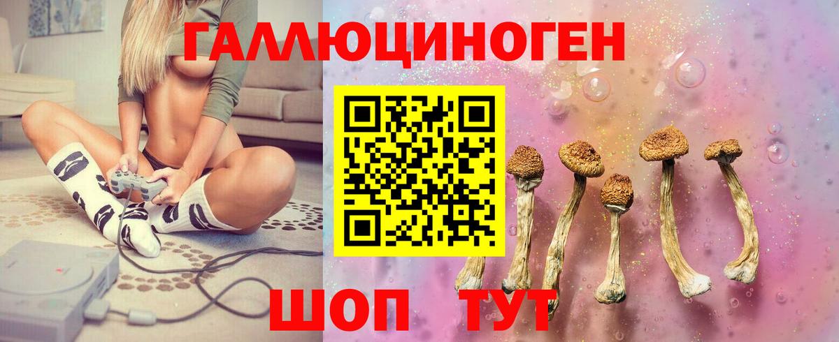 Галлюциногенные грибы MAGIC MUSHROOMS  Вход с VPN  Ртищево 