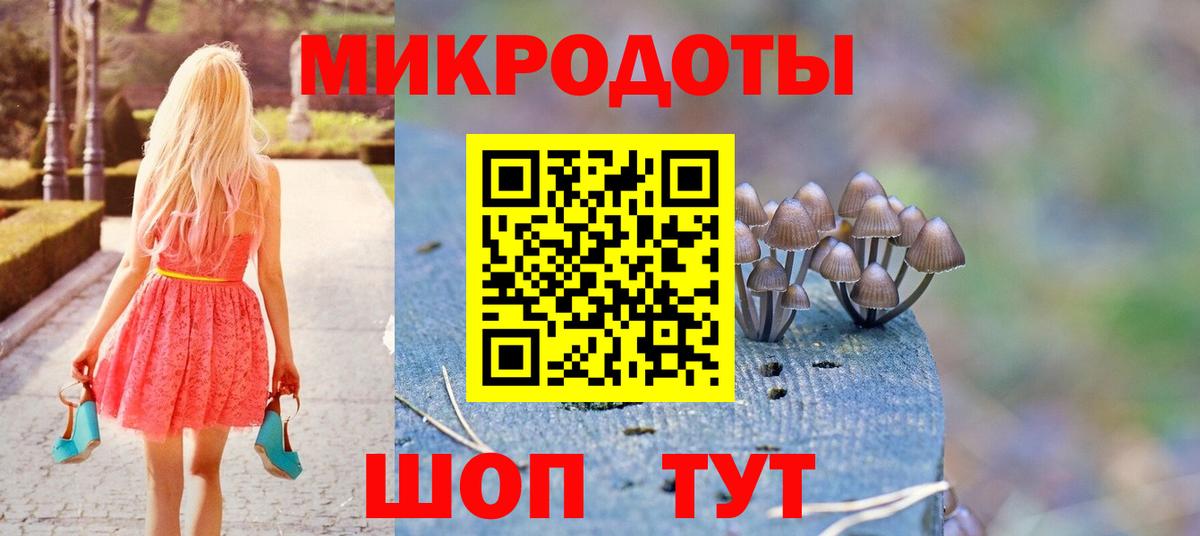 Псилоцибиновые грибы Psilocybine cubensis Ртищево