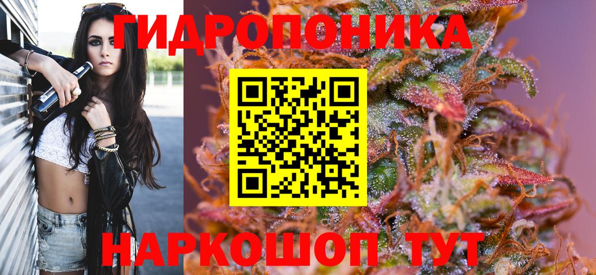 МАРИХУАНА сатива Ртищево